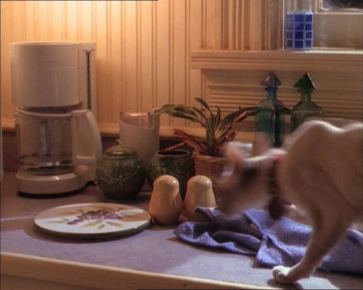 Charmed-Online_dot_net-1x02IveGotYouUnderMySkin0268.jpg