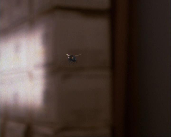 Charmed-Online-dot-net_106TheWeddingFromHell2068.jpg