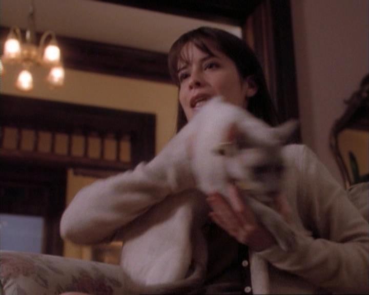 Charmed-Online-dot-net_107TheFourthSister0808.jpg