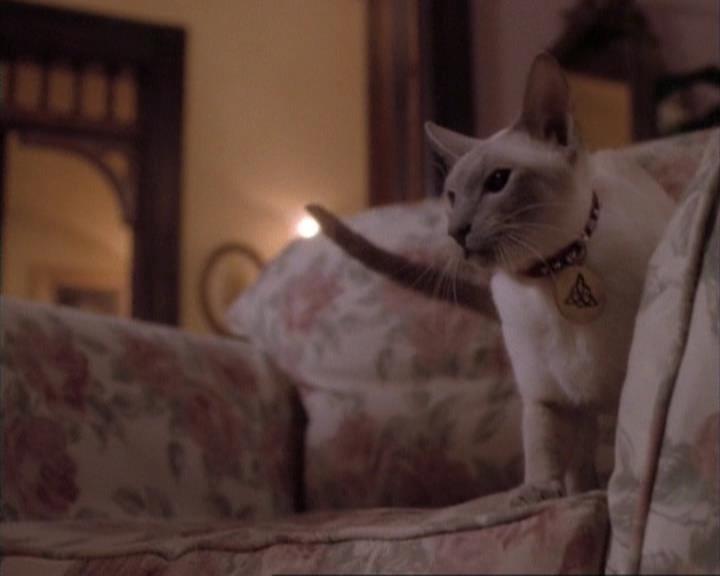 Charmed-Online-dot-net_107TheFourthSister0810.jpg