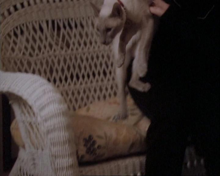 Charmed-Online-dot-net_107TheFourthSister1270.jpg