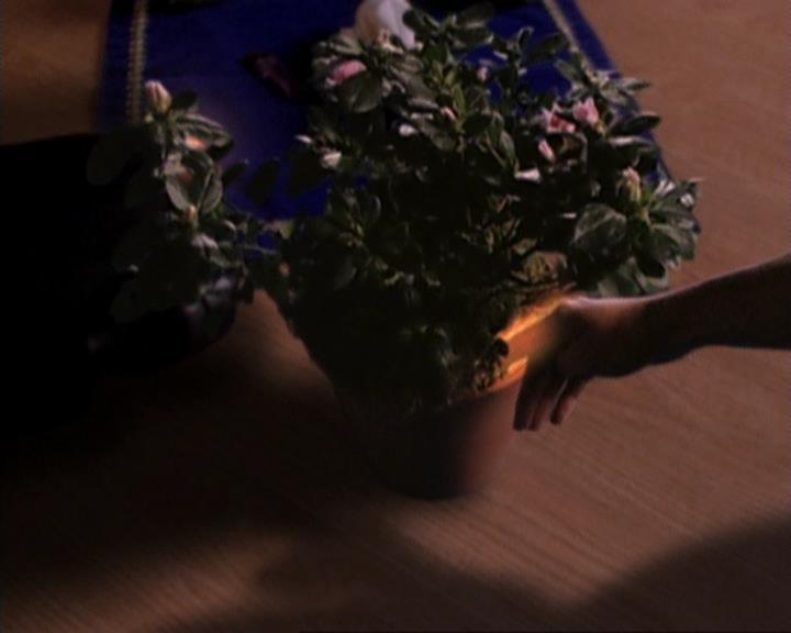 Charmed-Online-dot-net_107TheFourthSister1389.jpg Charmed-Online-dot-net_107TheFourthSister1389.jpg