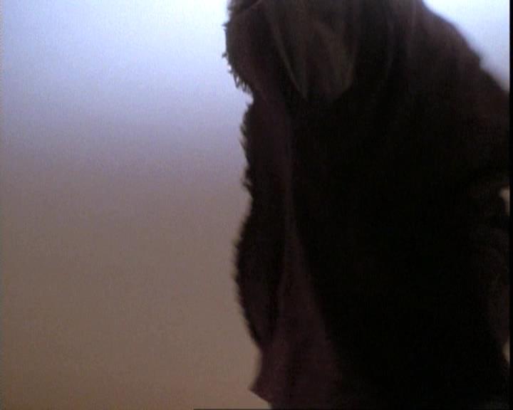Charmed-Online-dot-net_109TheWitchIsBack0157.jpg