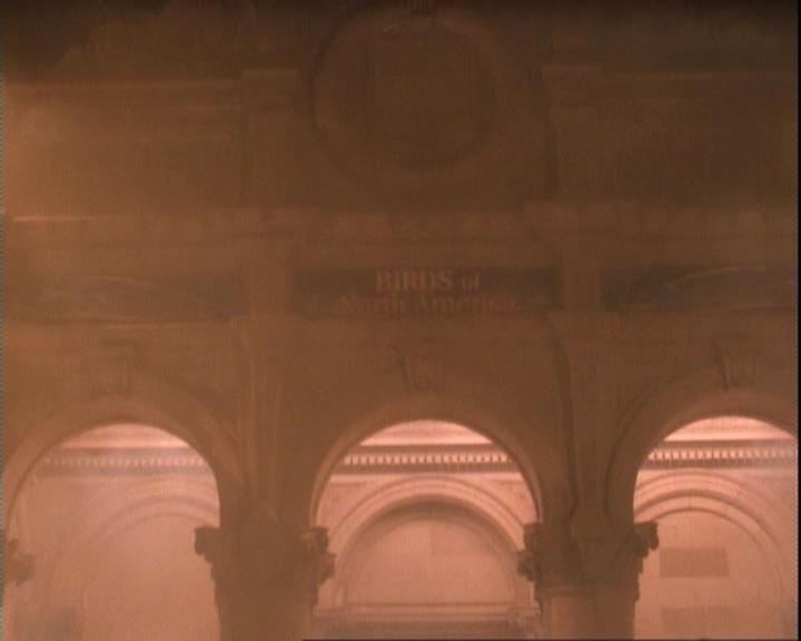 Charmed-Online-dot-net_109TheWitchIsBack1940.jpg Charmed-Online-dot-net_109TheWitchIsBack1940.jpg