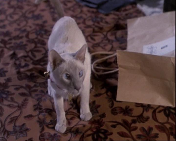Charmed-Online-dot-net_110WiccaEnvy0080.jpg