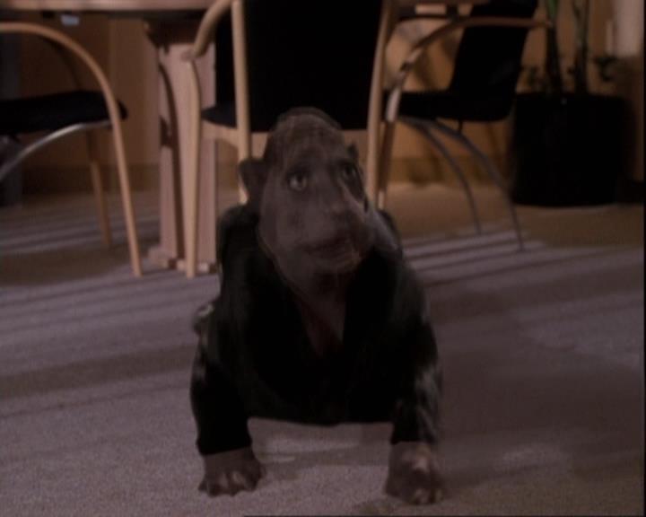 Charmed-Online-dot-net_110WiccaEnvy2043.jpg