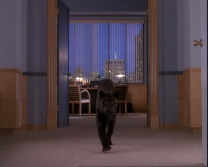Charmed-Online-dot-net_110WiccaEnvy2176.jpg