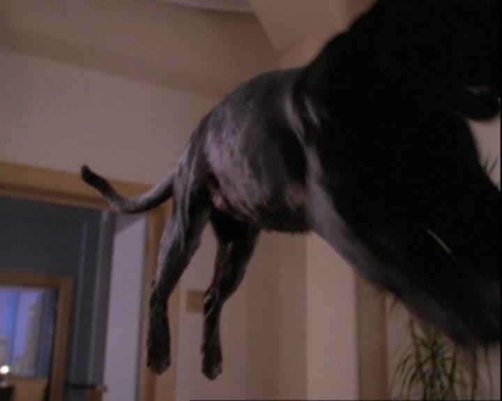 Charmed-Online-dot-net_110WiccaEnvy2193.jpg