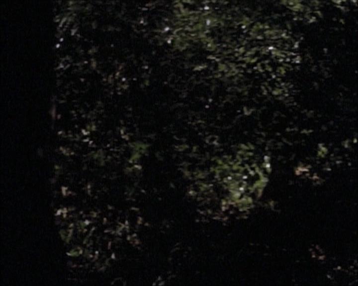 Charmed-Online-dot-net_112TheWendigo0190.jpg