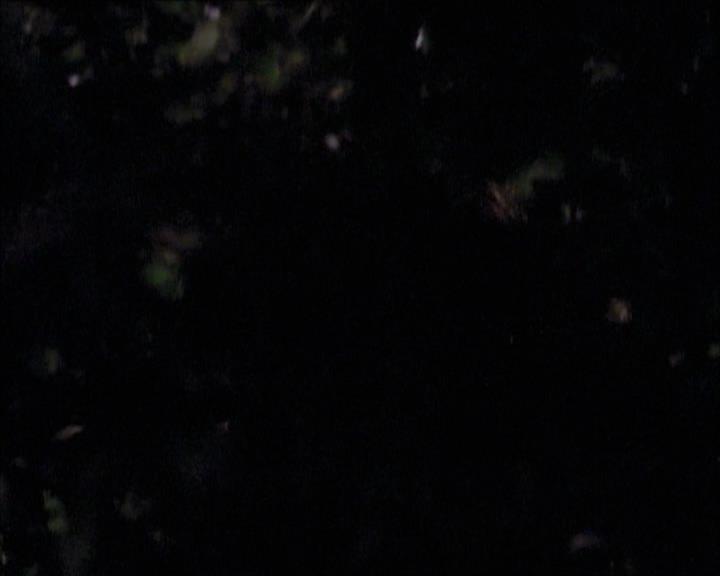 Charmed-Online-dot-net_112TheWendigo0195.jpg