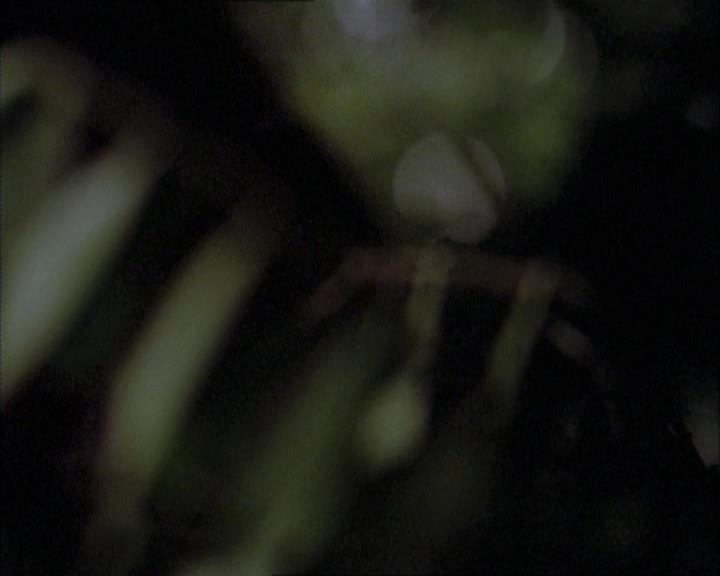 Charmed-Online-dot-net_112TheWendigo0200.jpg
