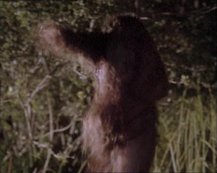 Charmed-Online-dot-net_112TheWendigo0238.jpg