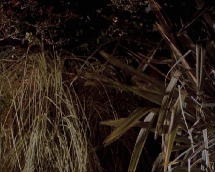 Charmed-Online-dot-net_112TheWendigo0242.jpg