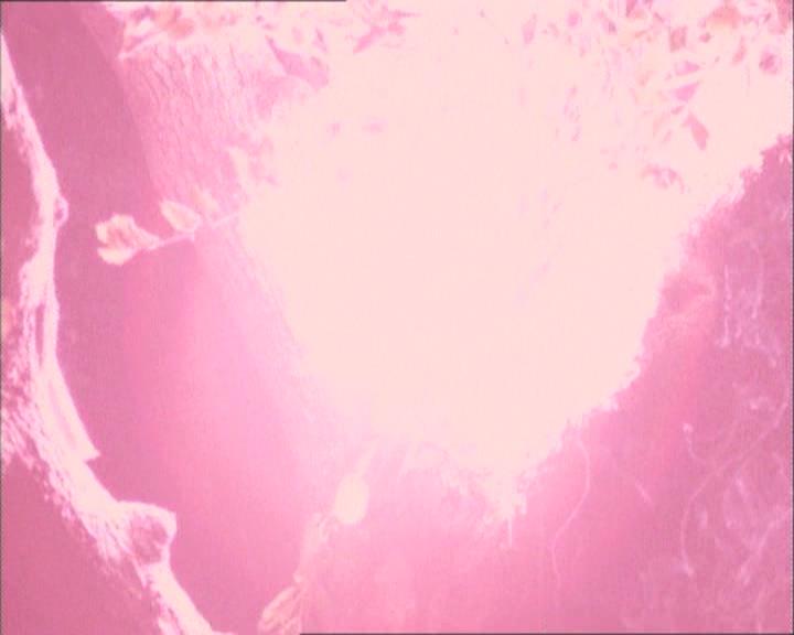 Charmed-Online-dot-net_112TheWendigo2171.jpg
