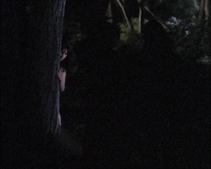 Charmed-Online-dot-net_112TheWendigo2301.jpg