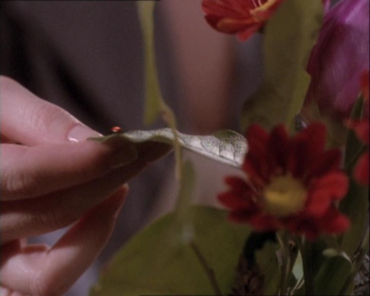 Charmed-Online-dot-net_113FromFearToEternity1097.jpg