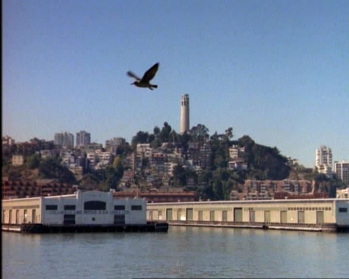 Charmed-Online-dot-net_115IsThereAWoogyInTheHouse0333.jpg