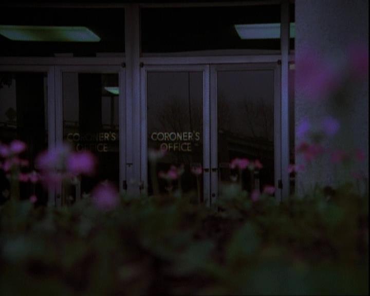 Charmed-Online-dot-net_116WichPrueIsItAnyway2267.jpg