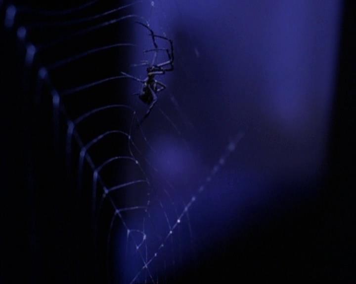 Charmed-Online-dot-net_118WhenBadWarlocksTurnGood1805.jpg