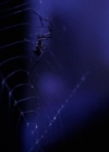 Charmed-Online-dot-net_118WhenBadWarlocksTurnGood1805.jpg