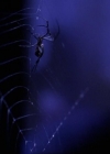 Charmed-Online-dot-net_118WhenBadWarlocksTurnGood1806.jpg