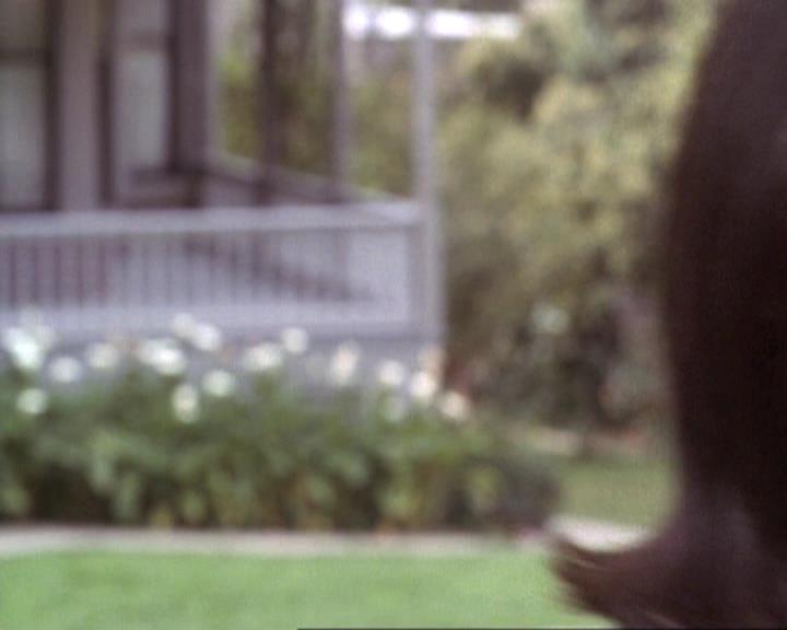Charmed-Online-dot-net_119OutOfSight1539.jpg