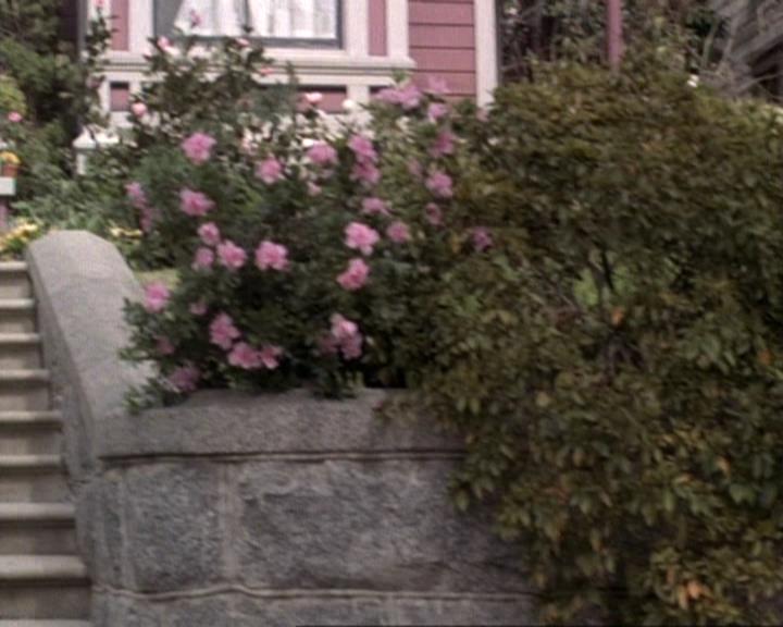 Charmed-Online-dot-net_119OutOfSight1593.jpg Charmed-Online-dot-net_119OutOfSight1593.jpg