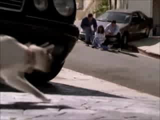 Charmed-Online-dot-net_Charmed-1x00UnairedPilot-1184.jpg Charmed-Online-dot-net_Charmed-1x00UnairedPilot-1184.jpg