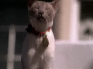 Charmed-Online-dot-net_Charmed-1x00UnairedPilot-1187.jpg Charmed-Online-dot-net_Charmed-1x00UnairedPilot-1187.jpg