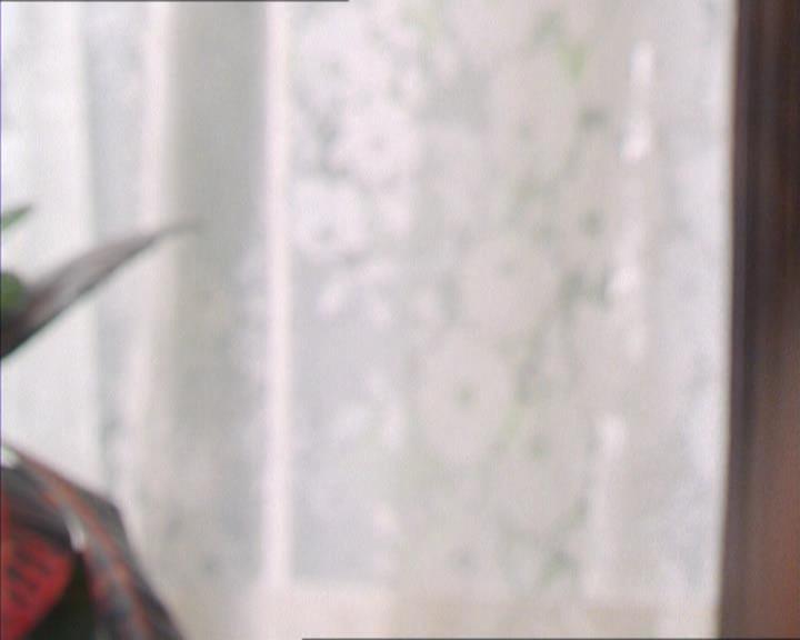 Charmed-Online_dot_net-2x01WitchTrial0991.jpg