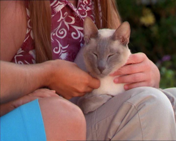 Charmed-Online_dot_net-2x01WitchTrial1058.jpg