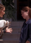 Charmed-Online_dot_net-2x01WitchTrial1107.jpg