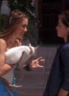 Charmed-Online_dot_net-2x01WitchTrial1108.jpg