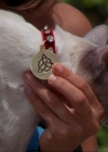 Charmed-Online_dot_net-2x01WitchTrial1118.jpg