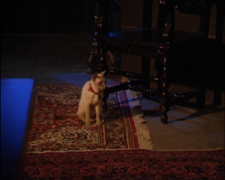 Charmed-Online_dot_net-2x03ThePaintedWorld1851.jpg
