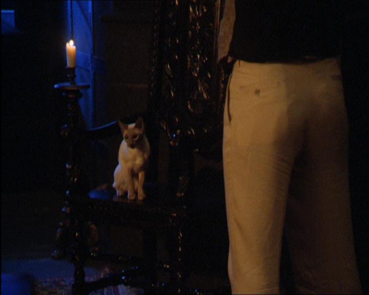 Charmed-Online_dot_net-2x03ThePaintedWorld1866.jpg
