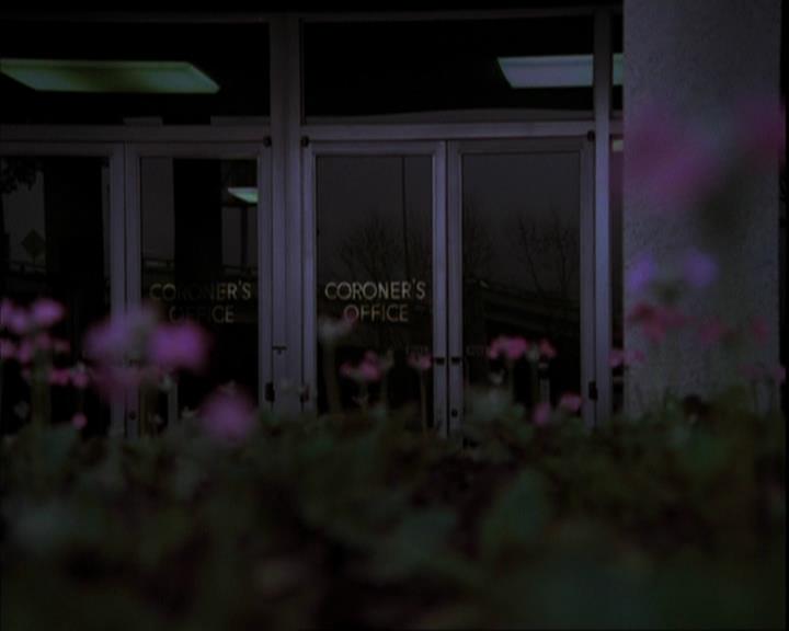 Charmed-Online-dot-net_205ShesaManBabyaMan1887.jpg Charmed-Online-dot-net_205ShesaManBabyaMan1887.jpg