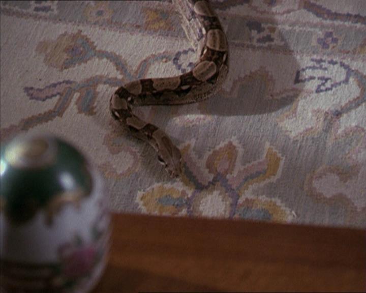 Charmed-Online-dot-net_206ThatOldBlackMagic0771.jpg