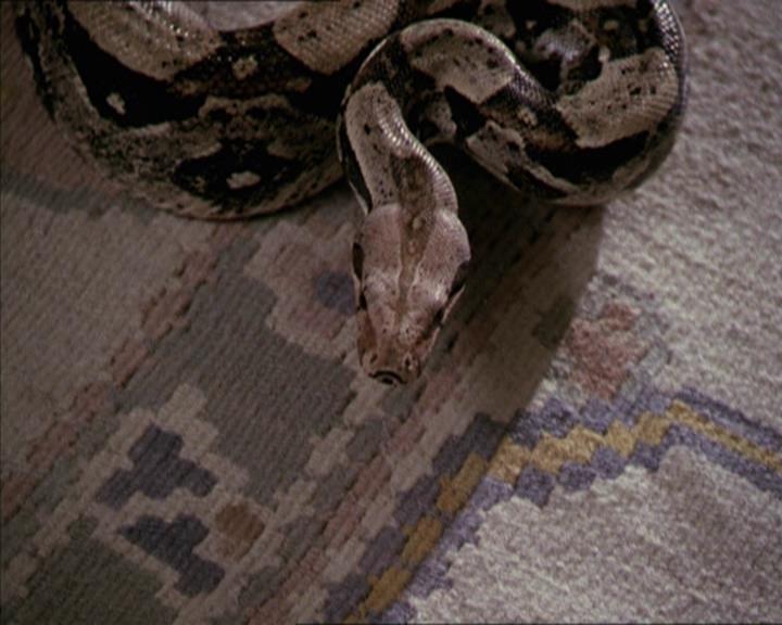Charmed-Online-dot-net_206ThatOldBlackMagic0779.jpg