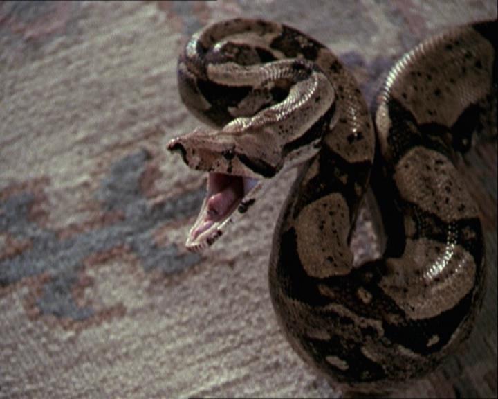 Charmed-Online-dot-net_206ThatOldBlackMagic0781.jpg