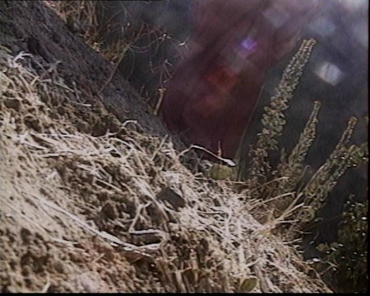 Charmed-Online-dot-net_206ThatOldBlackMagic1218.jpg