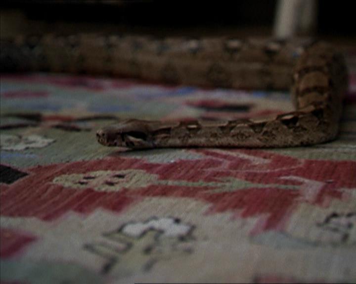 Charmed-Online-dot-net_206ThatOldBlackMagic1894.jpg
