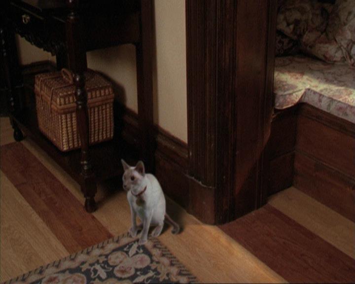 Charmed-Online-dot-net_207TheyreEverywhere0674.jpg