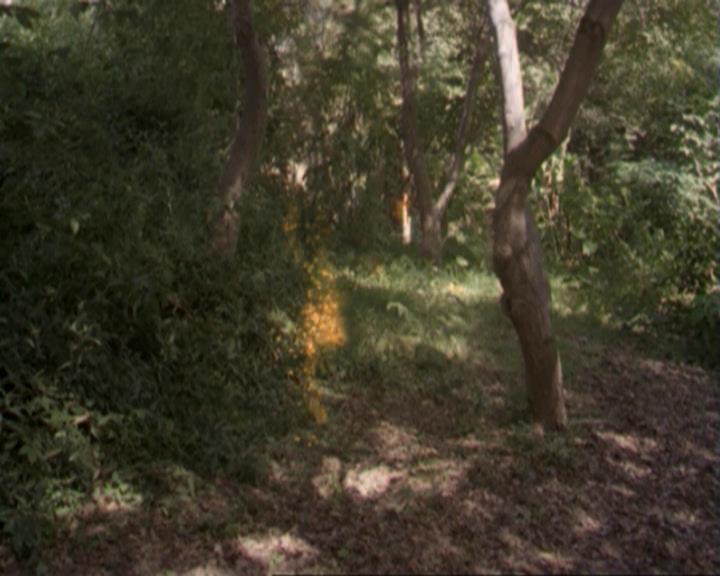 Charmed-Online-dot-net_207TheyreEverywhere2046.jpg