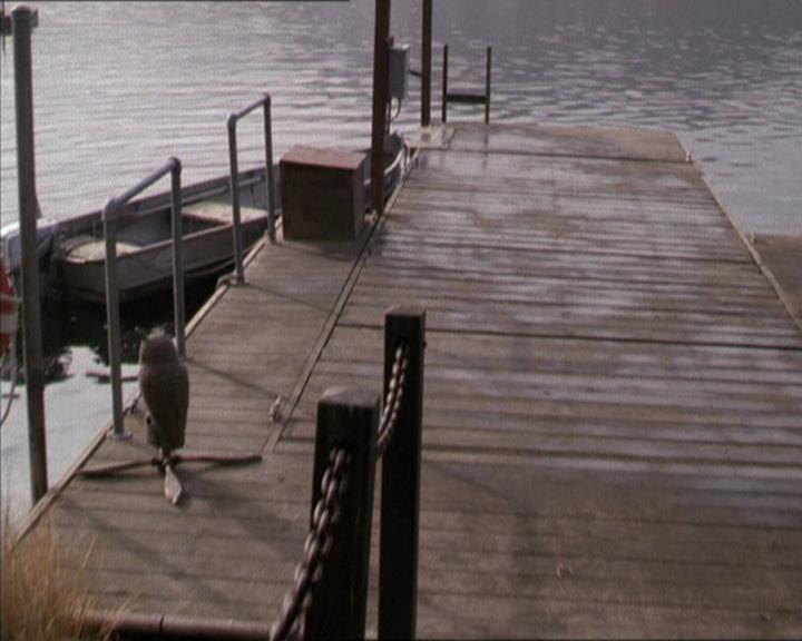 Charmed-Online-dot-net_208P3H200684.jpg
