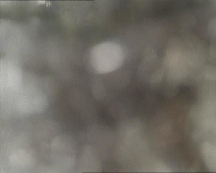 Charmed-Online-dot-net_208P3H201251.jpg