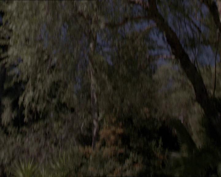 Charmed-Online-dot-net_208P3H201261.jpg