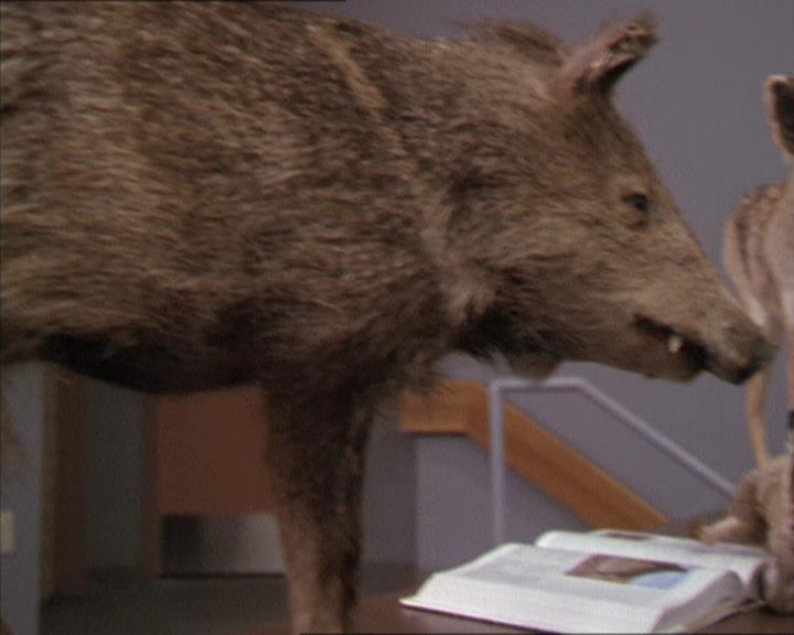 Charmed-Online-dot-213AnimalPragmatism0003.jpg