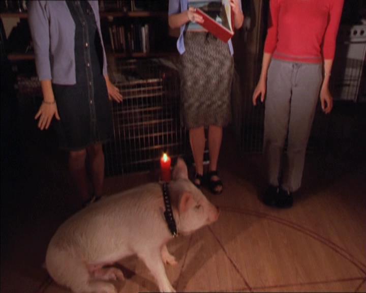 Charmed-Online-dot-213AnimalPragmatism0125.jpg