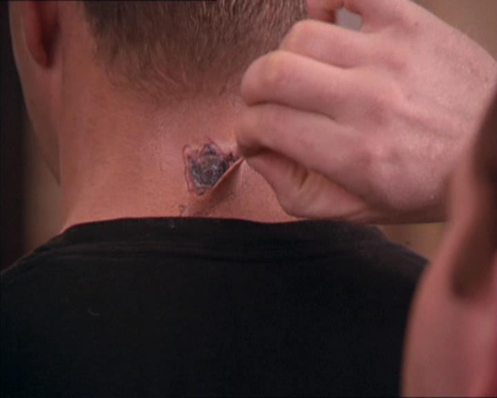 Charmed-Online-dot-213AnimalPragmatism1229.jpg